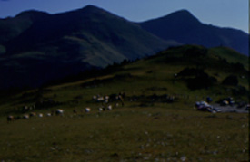 Fontalba